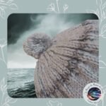 PAP17BON003 - Bonnet Gris Pompon au Tricot (3)