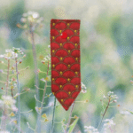 BUR24PLP001 - Version Poche (5)