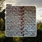 PAP24SKJ002 - Capuche Skjoldehamm (6)