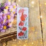 STA22MP007-Echinacees