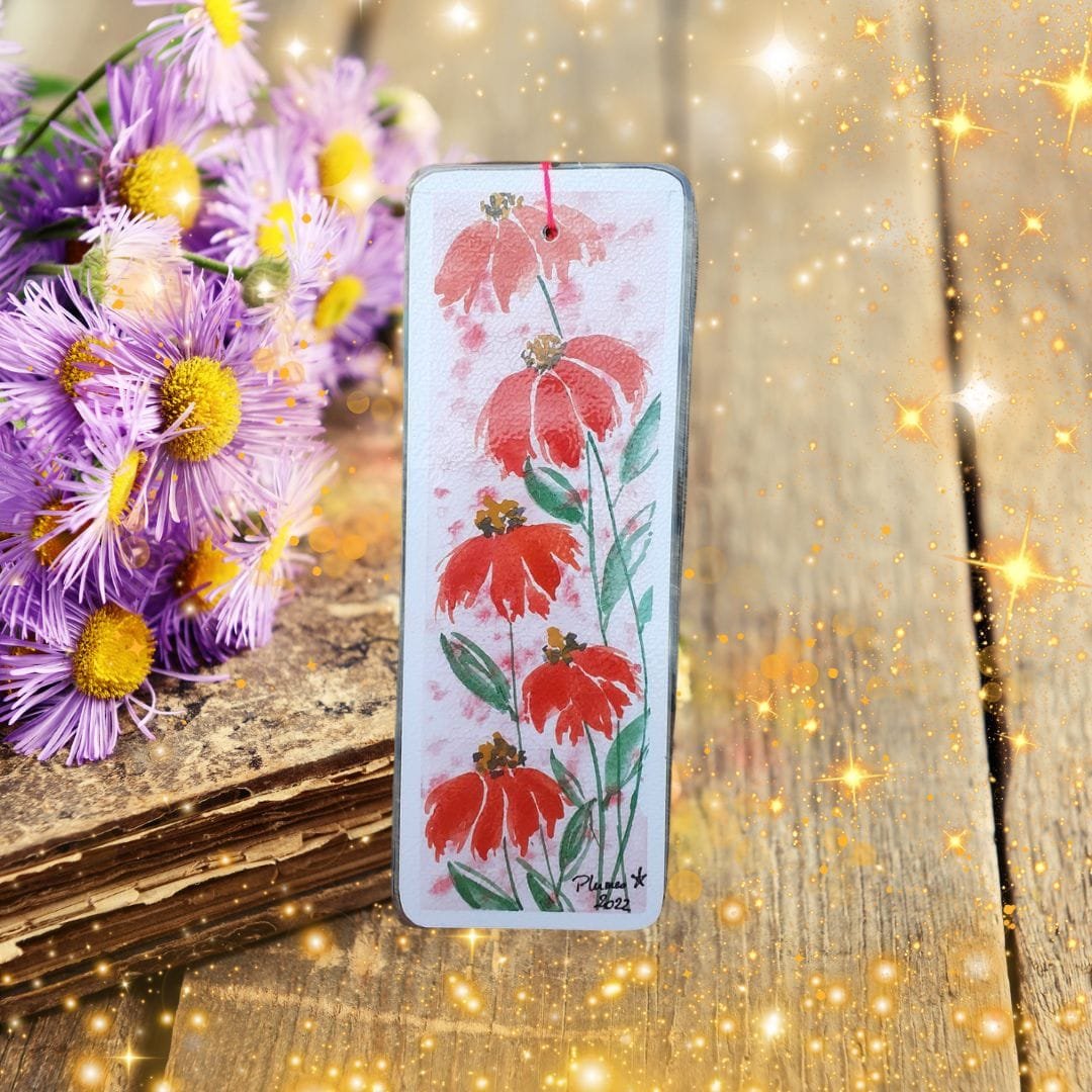 STA22MP007-Echinacees (2)